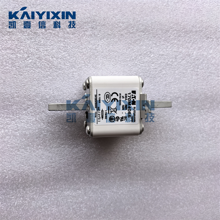 170M4066-EATON-Ylm