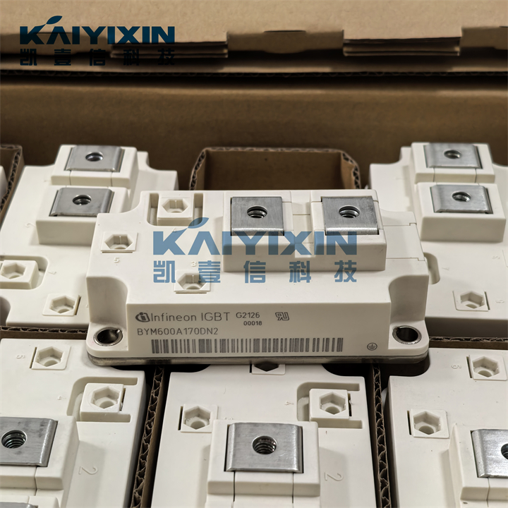 BYM600A170DN2-infineon-V33