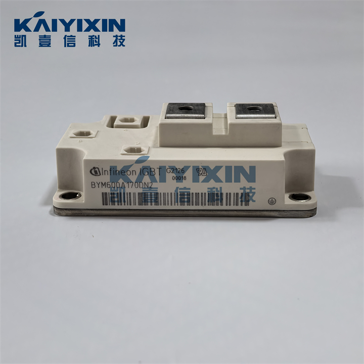 BYM600A170DN2-infineon-x8q