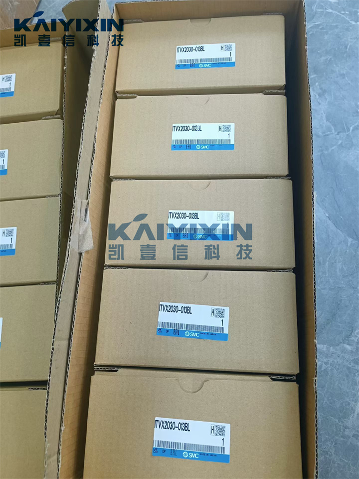 ITVX2030-013BL-SMC-aaK